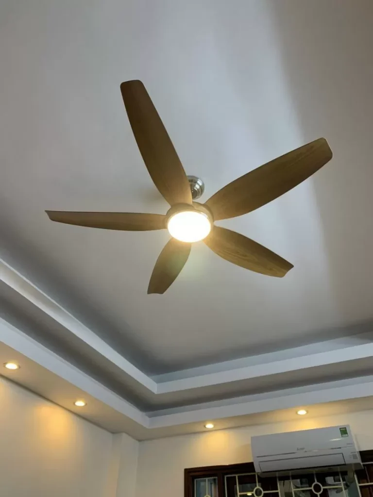 Quạt trần Nhật Bản KaiyoKukan HIRO OAK