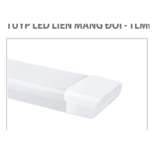 Tuýp LED liền máng đôi Asia TLMD-0.3 9W