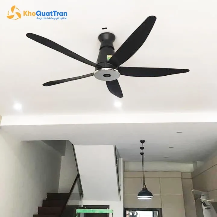 Quạt trần 5 cánh Panasonic DC F-60XDN đen 2