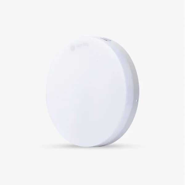 Đèn LED ốp trần LN12N 170/12W Rạng Đông