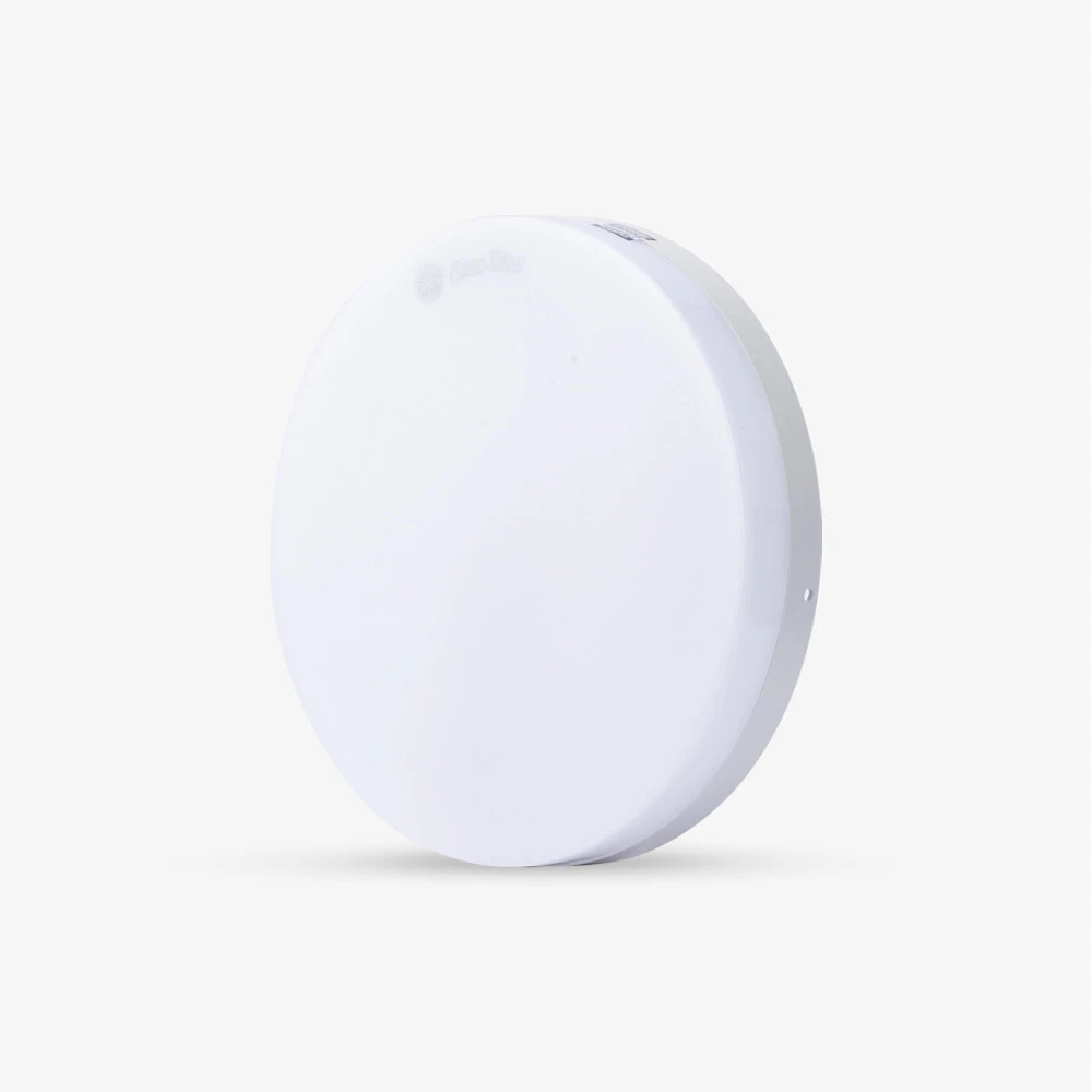 Đèn LED ốp trần LN12N 170/12W Rạng Đông