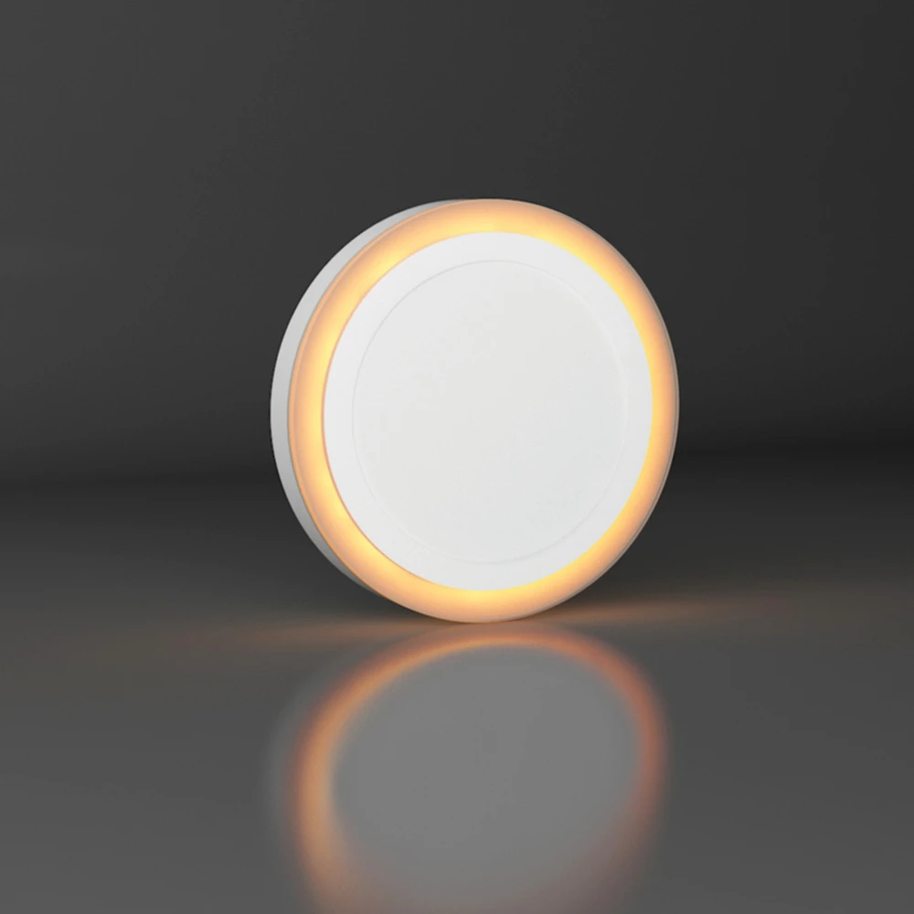 Đèn LED Ốp Trần Tròn Đổi Màu 247/24W LN24 ĐM Rạng Đông 4