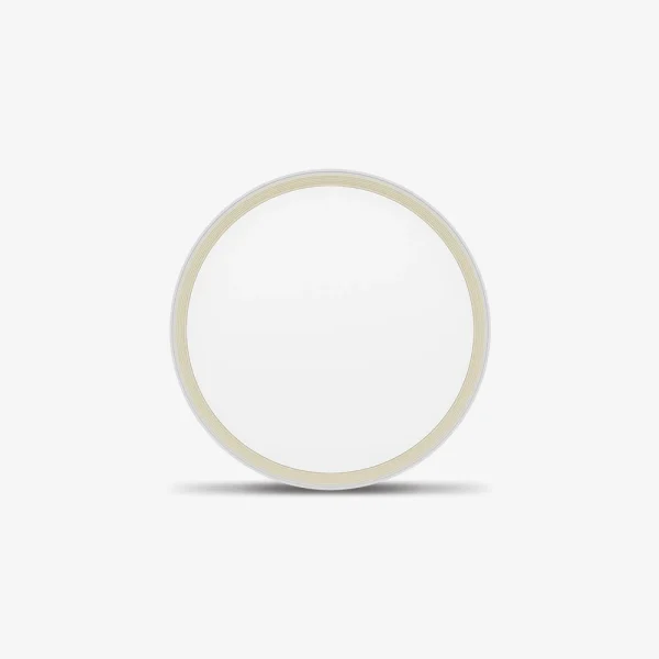 Đèn LED ốp trần đổi màu LN28 400/40W Rạng Đông