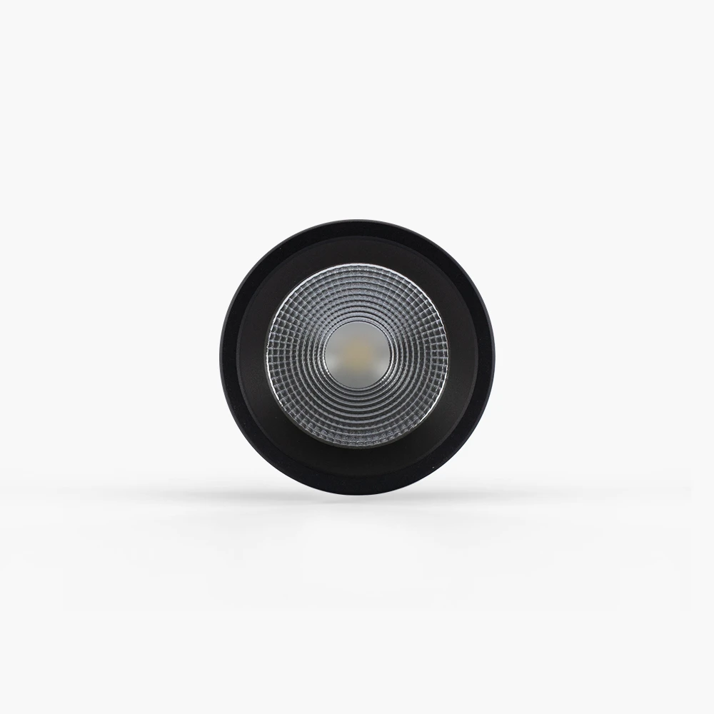 Đèn LED Downlight Nổi Trần 110/10W NT01 Rạng Đông 3