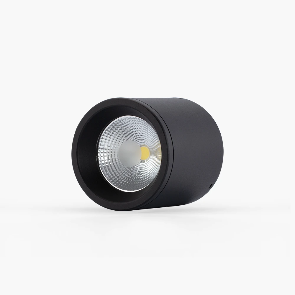 Đèn LED Downlight Nổi Trần 110/10W NT01 Rạng Đông 4