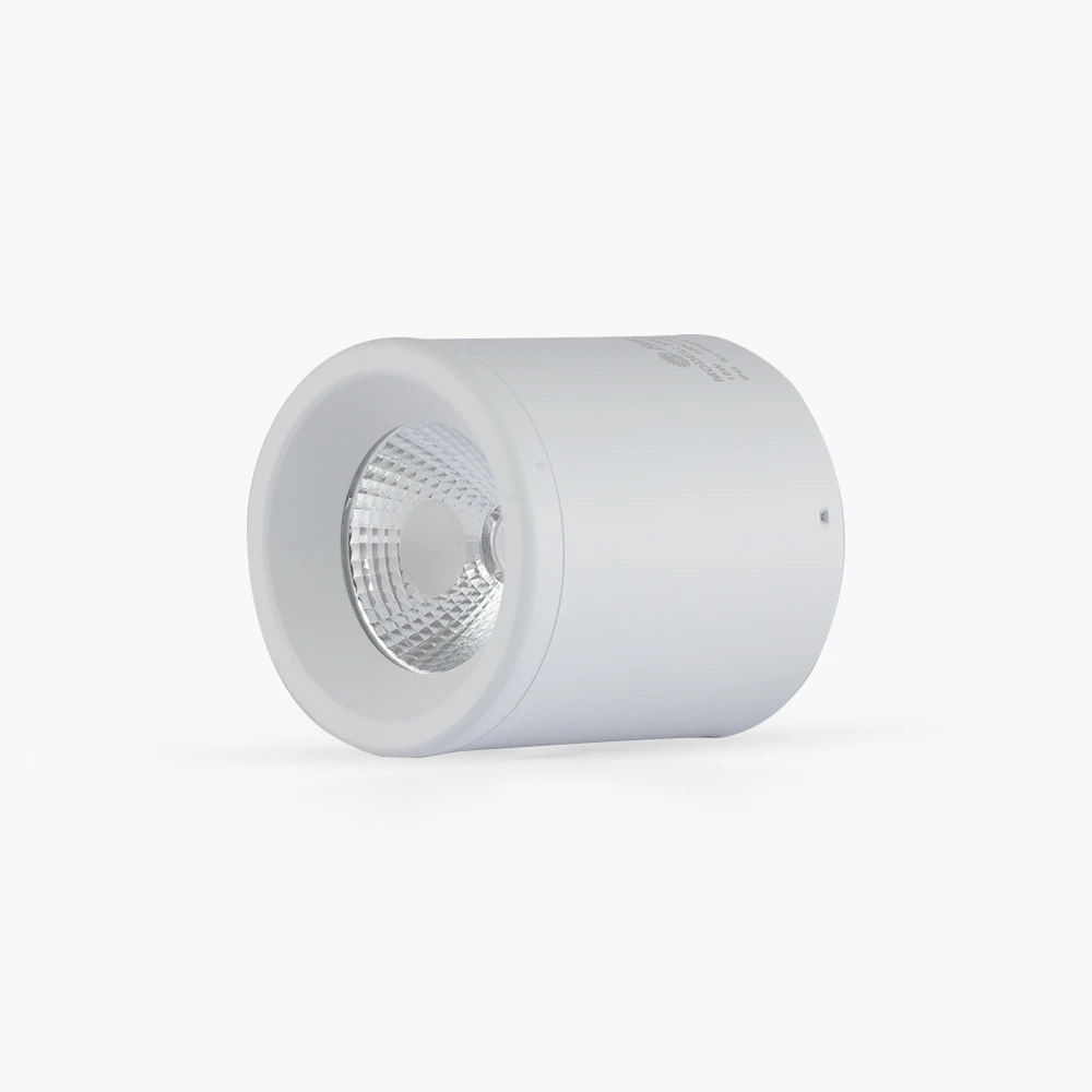 Đèn LED Downlight Nổi Trần 90/10W NT01 Rạng Đông 4
