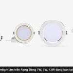 Giá đèn downlight Rạng Đông 2026: đủ công suất 7W, 9W, 12W.